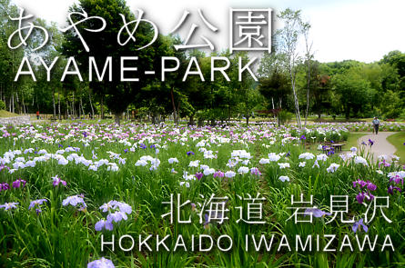あやめ公園