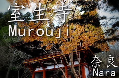 奈良ぶらり 秋の室生寺